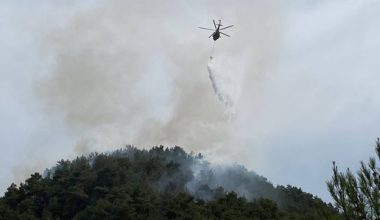 ORMAN YANGININA KARADAN VE HAVADAN MÜDAHALE SÜRÜYOR