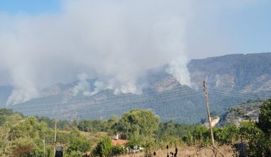 OVACIK’TA ORMAN YANGINI RÜZGARIN ETKİSİYLE TEKRAR BAŞLADI