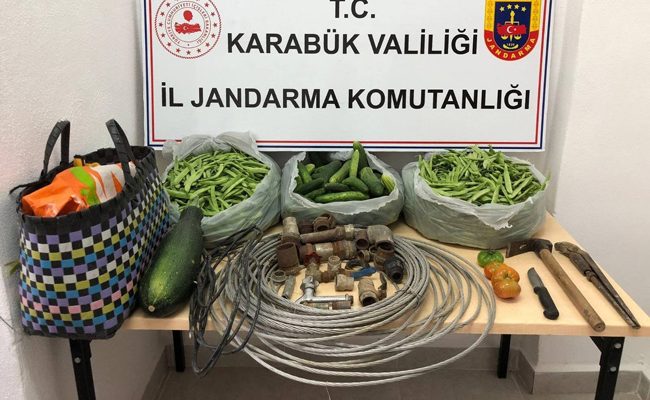 2 HIRSIZ ÇALDIKLARIYLA BİRLİKTE ORMANDA YAKALANDI