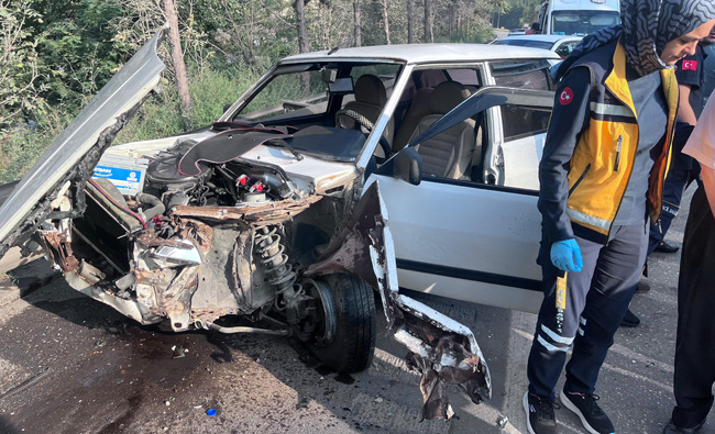 LASTİĞİ PATLAYAN OTOMOBİL BARİYERLERE ÇARPTI:1 YARALI