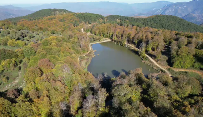 YENİCE ORMANLARINDA OLUŞAN  RENK CÜMBÜŞÜ DRON İLE GÖRÜNTÜLENDİ